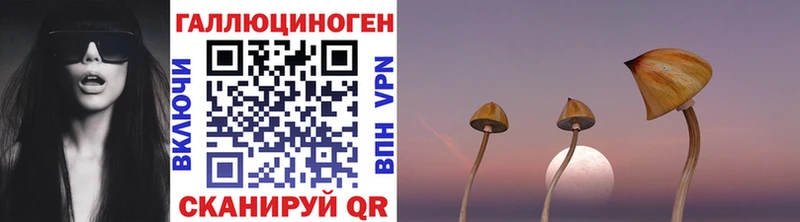 Псилоцибиновые грибы мухоморы  kraken ССЫЛКА  Александровск-Сахалинский  как найти закладки 
